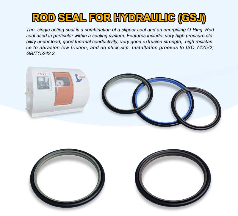 Virgin PTFE /POM/PA Backup Ring/Gasket